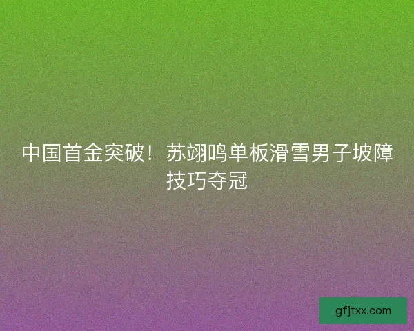 中国首金突破！苏翊鸣单板滑雪男子坡障技巧夺冠