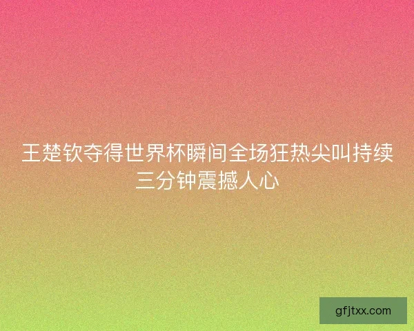 王楚钦夺得世界杯瞬间全场狂热尖叫持续三分钟震撼人心